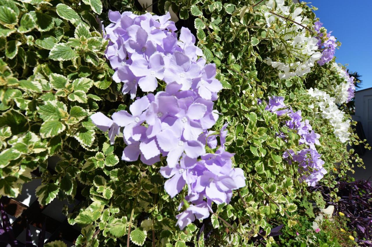 Apartment Lavender Vir Exterior foto