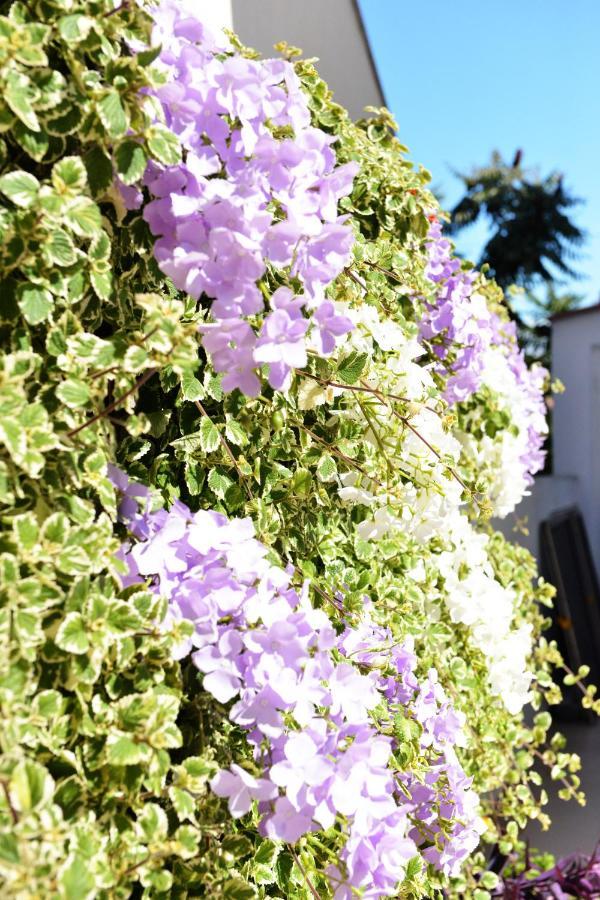 Apartment Lavender Vir Exterior foto